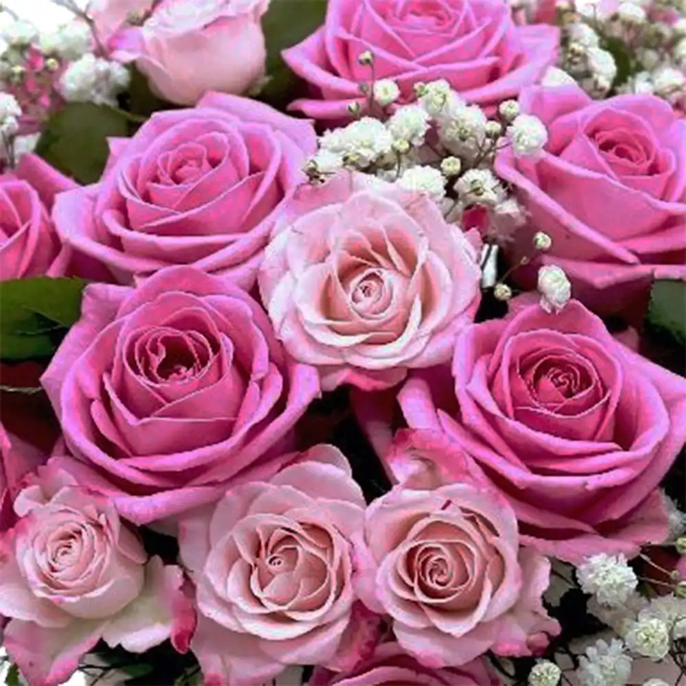 Aranjament The Earth Laughs in Flowers – 17 trandafiri roz, mini-rosa, gypsophila, Fleurange Baia Mare [1]