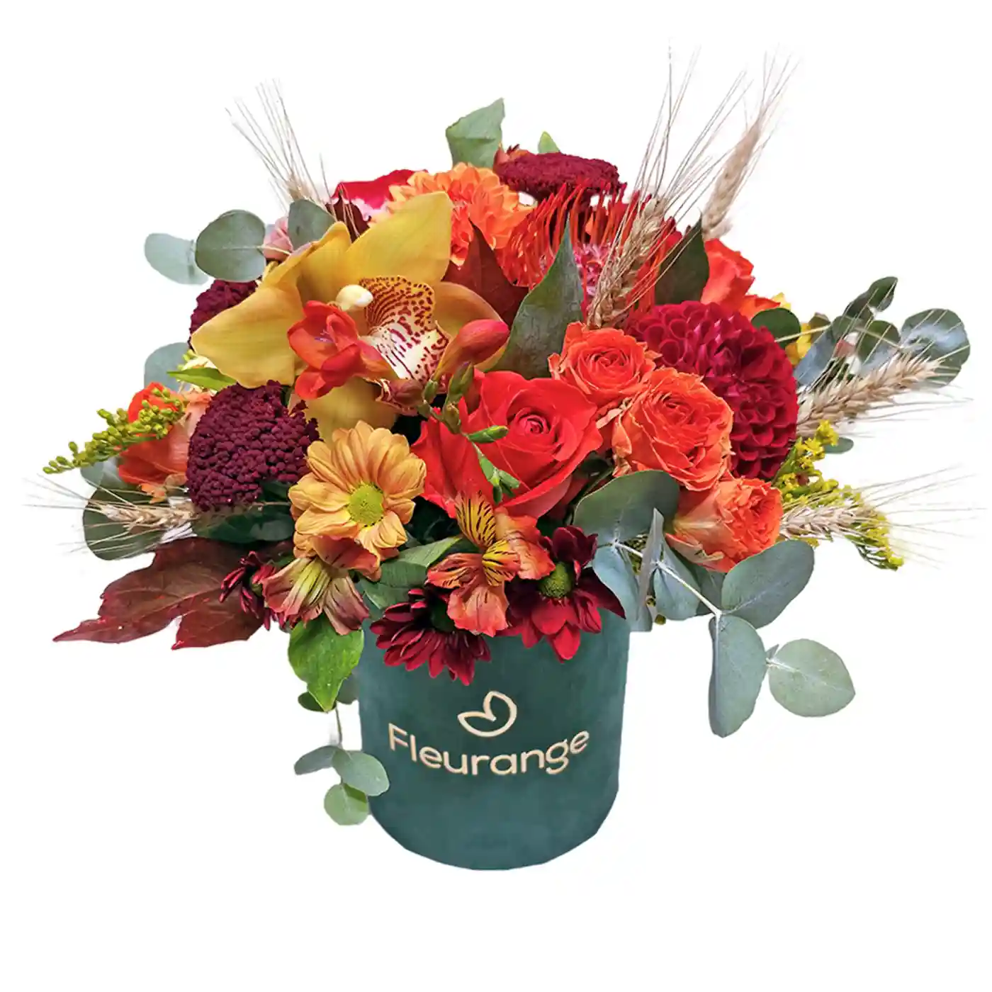 Aranjamente Flori Mixte - Aranjament Autumn Blooms cu dalii, cymbidium si spice de grau in cutie catifea – Fleurange Baia Mare
