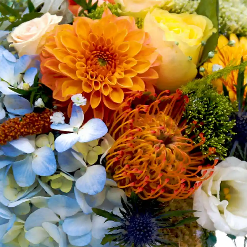Aranjament Blue & Peach – hortensia, eryngium, dahlia, leucospermum, Fleurange Baia Mare [1]
