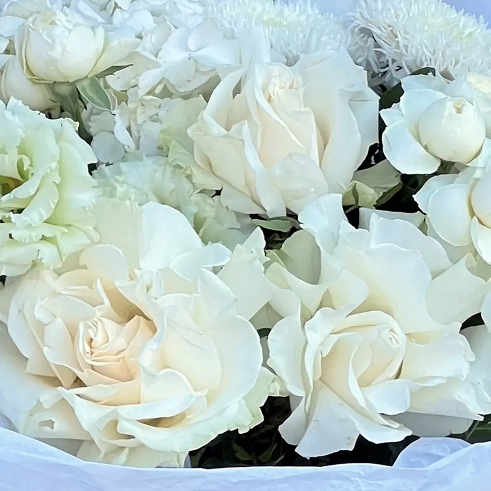 Buchet Bianco Amore – hortensia alba, trandafiri si lisianthus, Fleurange Baia Mare [1]