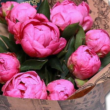 Buchet cu 11 bujori roz proaspeți [1]