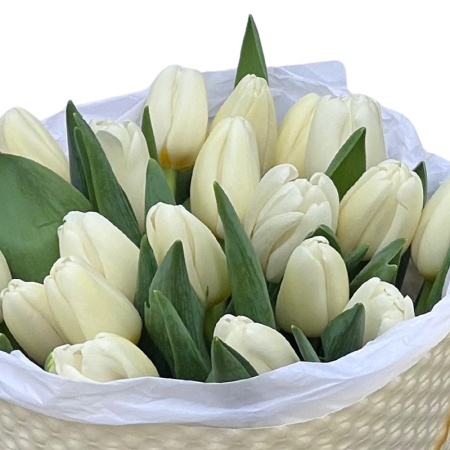 Buchet 19 Lalele Albe [1]