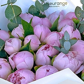 Buchet 25 Bujori Roz – bujori roz cu eucalipt, Fleurange Baia Mare [1]