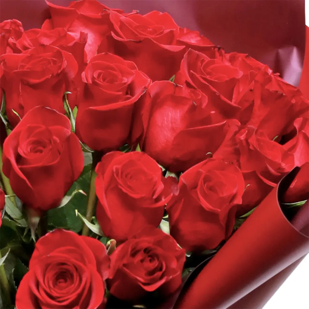 Buchet 25 Trandafiri Roșii – Flori proaspete și elegante Fleurange.ro [1]