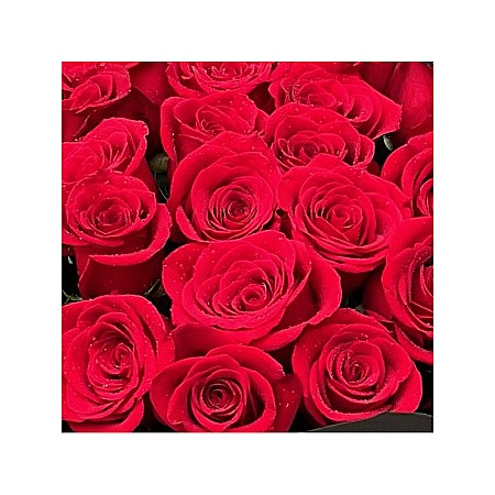 Buchet 29 Trandafiri Roșii [1]