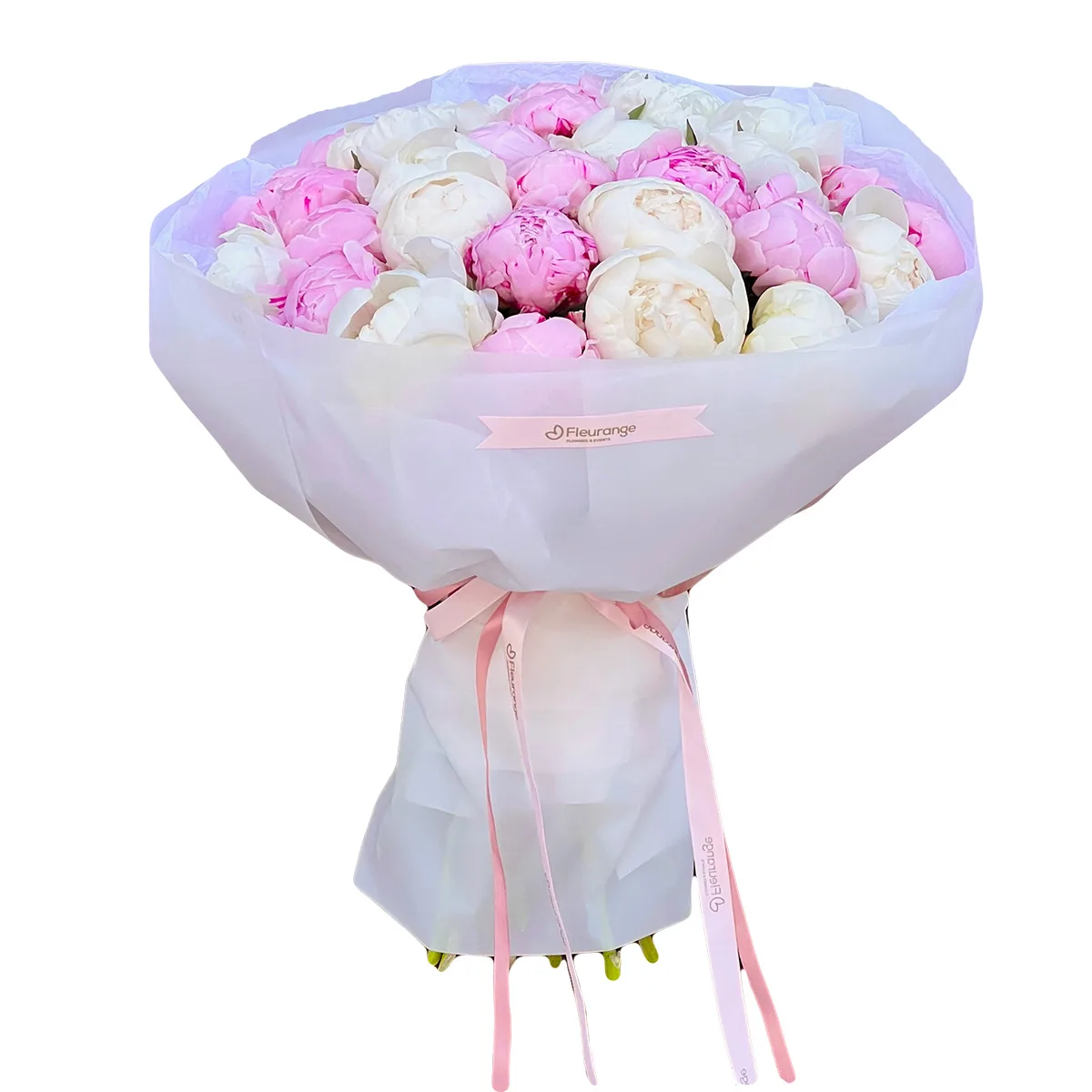 Buchete Bujori - Buchet 30 Bujori Albi si Roz – 15 bujori albi si 15 roz parfumati, Fleurange Baia Mare