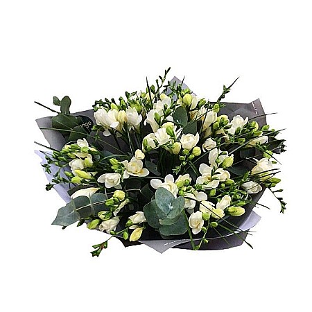 Buchete Flori - Buchet cu 40 de frezii parfumate, eucalipt și beargrass – aranjament elegant și proaspă