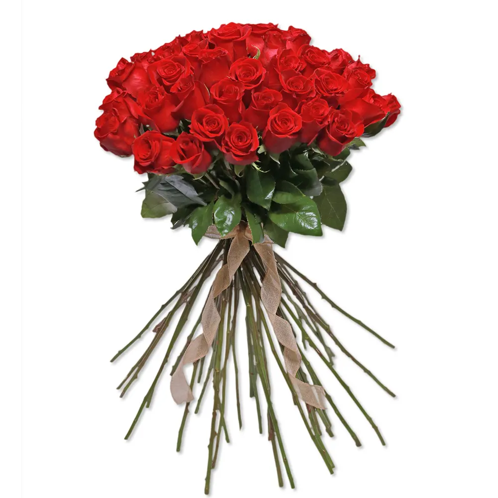 Buchet 40 Trandafiri Roșii – Rotund cu Fundiță Iută, Fleurange Baia Mare