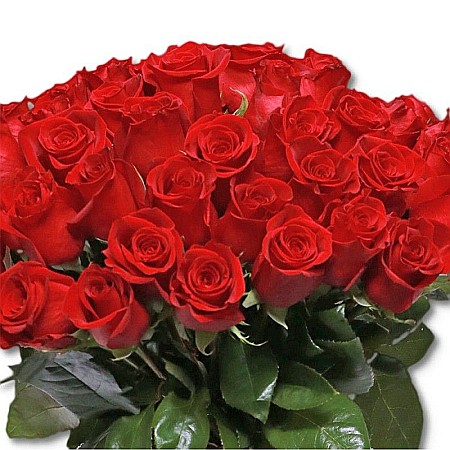 Buchet 40 Trandafiri Roșii – Buchet Generos de Trandafiri Roșii [1]
