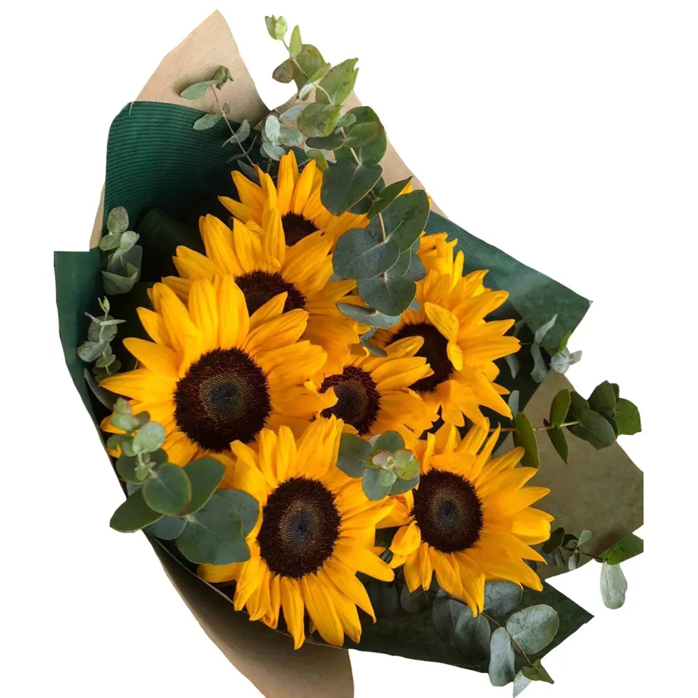 Buchet 9 Helianthus – 9 flori ale soarelui galben eucalipt pistacia, Fleurange Baia Mare