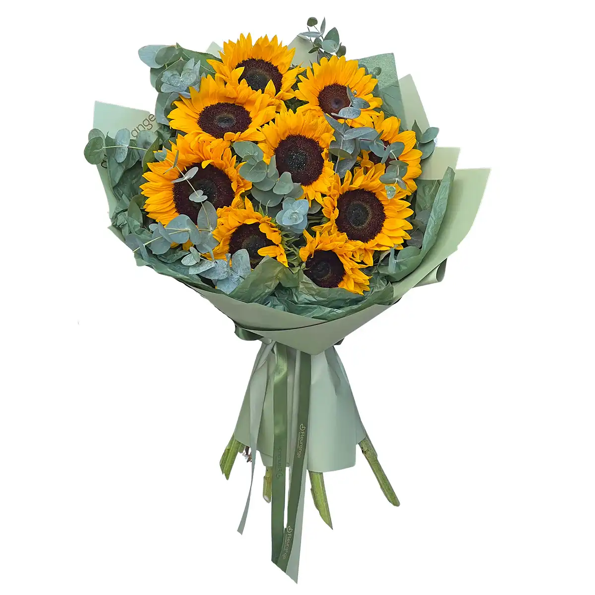 Buchet 9 Helianthus – 9 flori ale soarelui galben eucalipt pistacia, Fleurange Baia Mare [0]