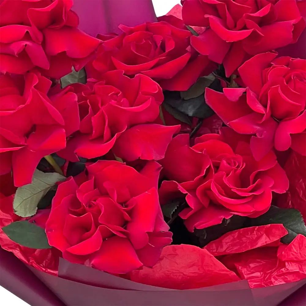 Buchet 9 Trandafiri Rosii – trandafiri rosii petalati cu pistacia si fundita, Fleurange Baia Mare [1]