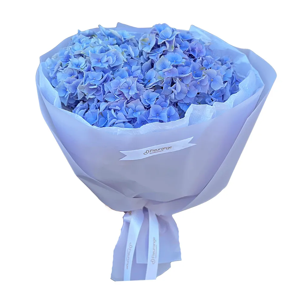Buchete Hortensii - Buchet Blue Bird – Hortensii Albastre, Fleurange Baia Mare