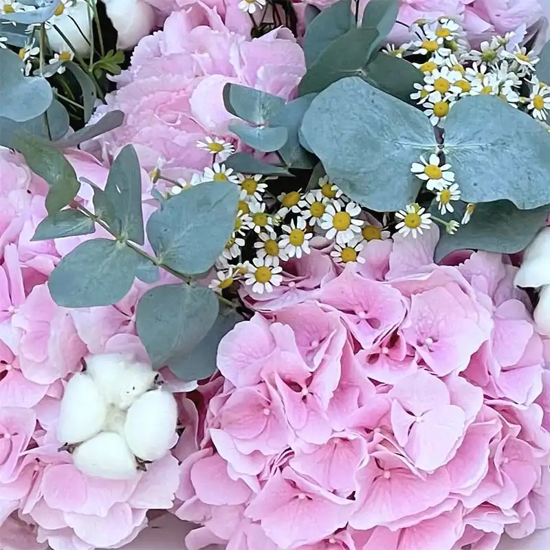 Buchet cu Hortensii Roz – Hortensii Roz-Candy și Bumbac, Fleurange Baia Mare [1]