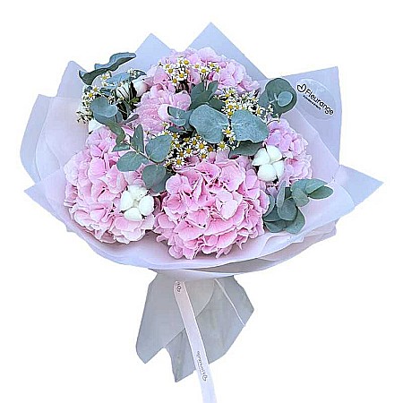 Buchete Hortensii - Buchet cu Hortensii Roz