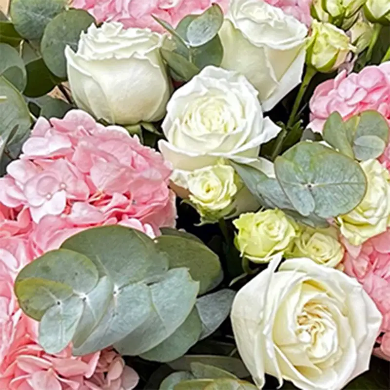 Buchet cu Hortensii si Trandafiri – hortensii albe, trandafiri albi, eucalipt, Fleurange Baia Mare [1]