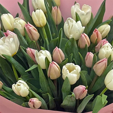 Buchet cu Lalele Roz si Albe [1]