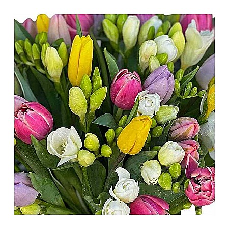 Buchet cu Lalele si Frezii [1]