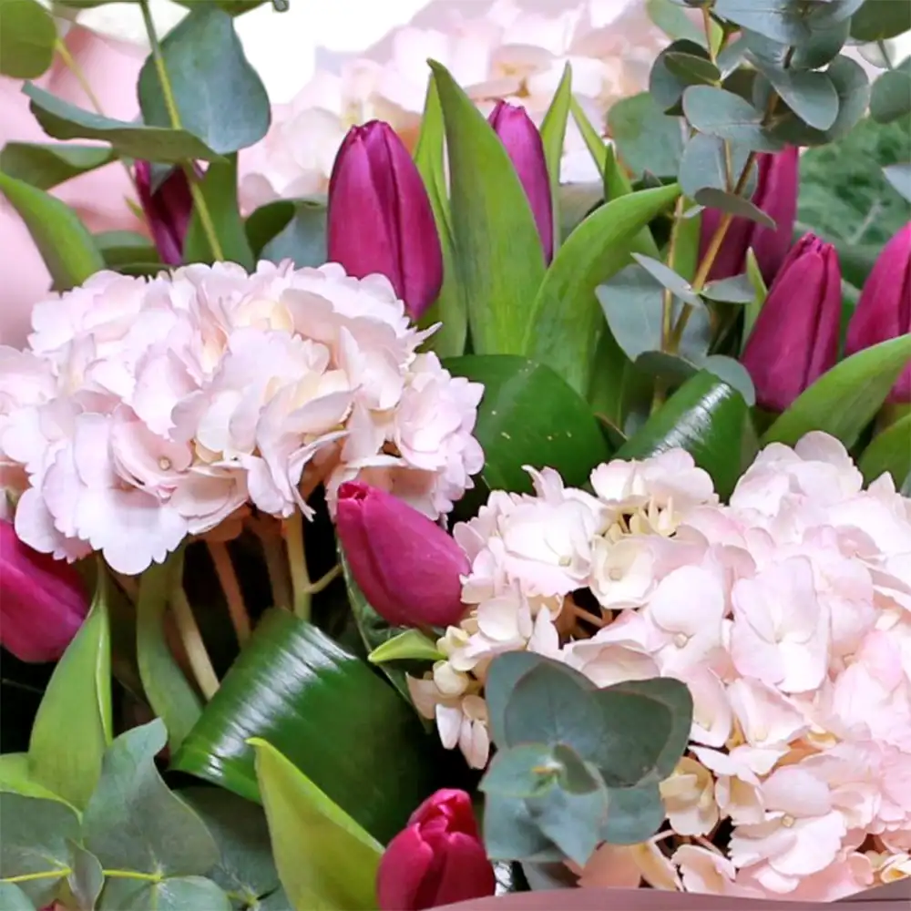 Buchet cu Lalele si Hortensii – 10 lalele, 3 hortensii mov, aspidistra, Fleurange Baia Mare [1]