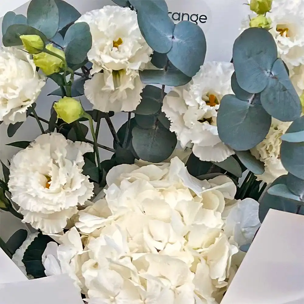 Buchet cu Lisianthus și Hortensia Albă – lisianthus și hortensie albă, Fleurange Baia Mare [1]