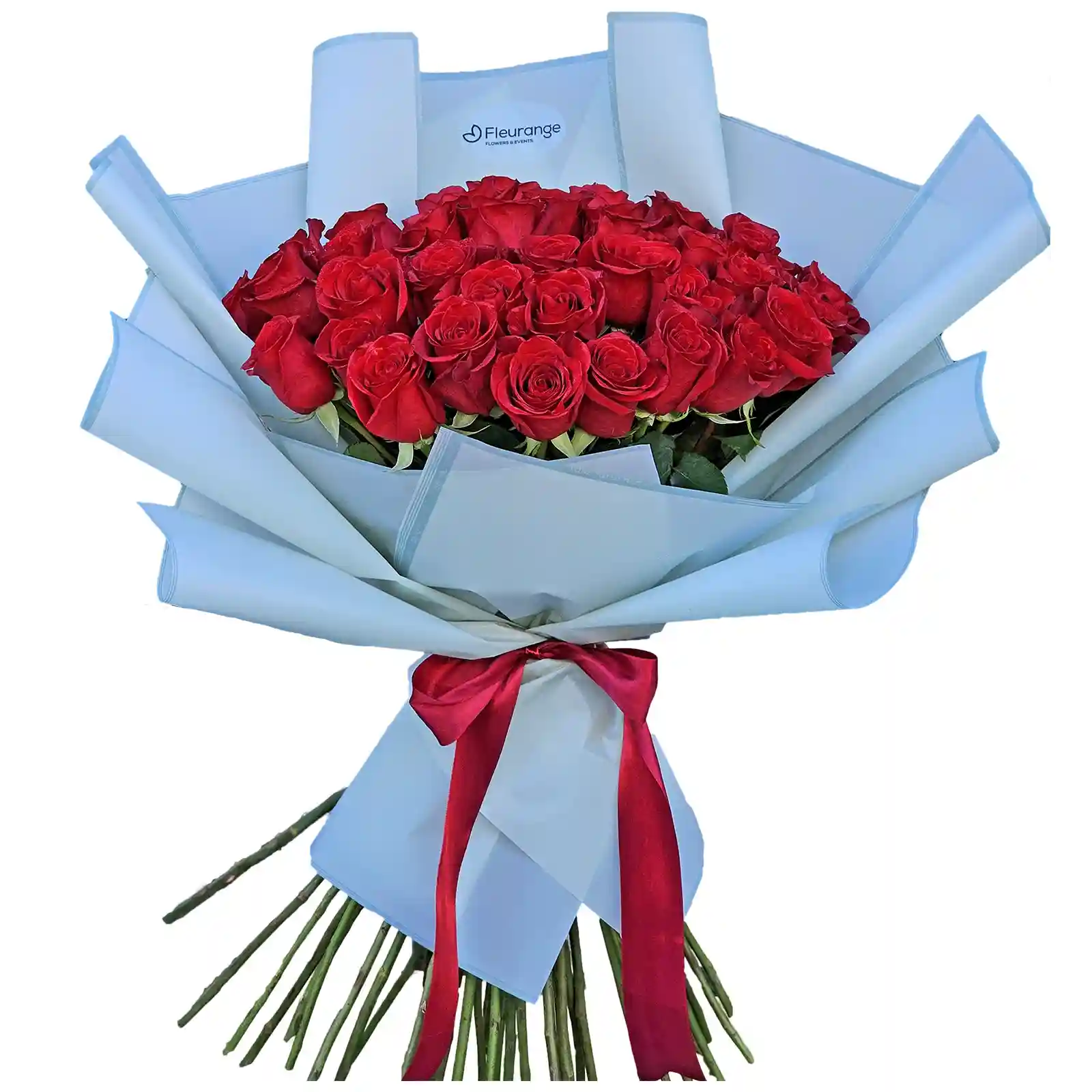 Buchete Trandafiri Rosii - Buchet 33 Trandafiri Rosii – rosu intens, Fleurange Baia Mare