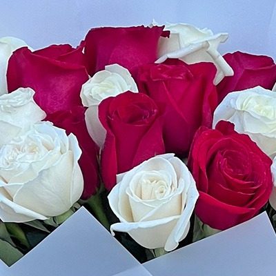 Buchet cu 17 trandafiri roșii și albi – perfect pentru aniversare, cereri în căsătorie sau surprize romantice [1]
