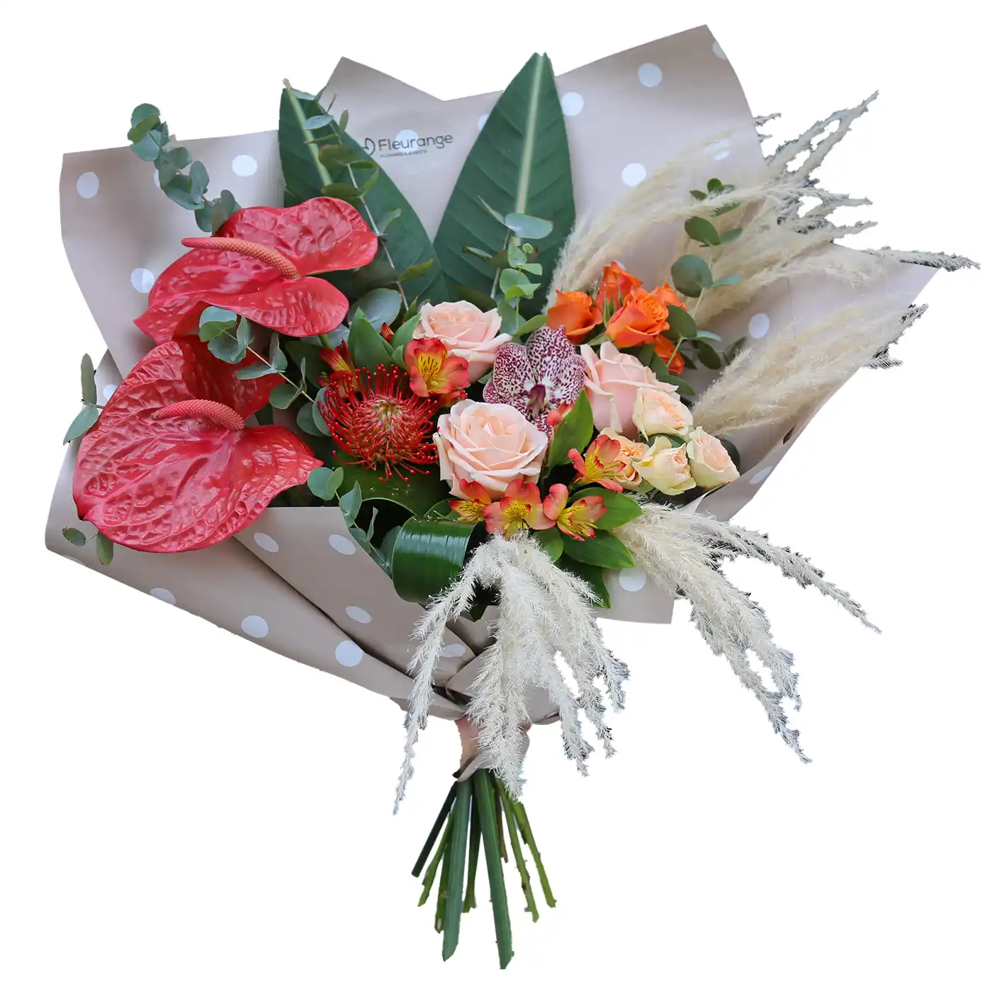 Buchete Mixte - Buchet Flawless – vanda anthurium leucospermum pampas aspidistra, Fleurange Baia Mare