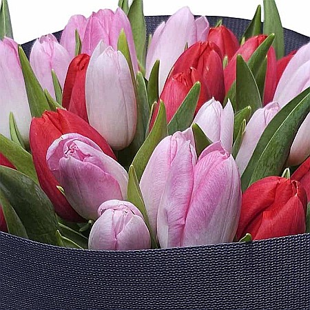 Buchet Lalele Emozia [1]