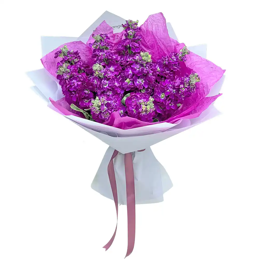 Flori de Primavara - Buchet Lilas – Matiole Mov Parfumate, Fleurange Baia Mare