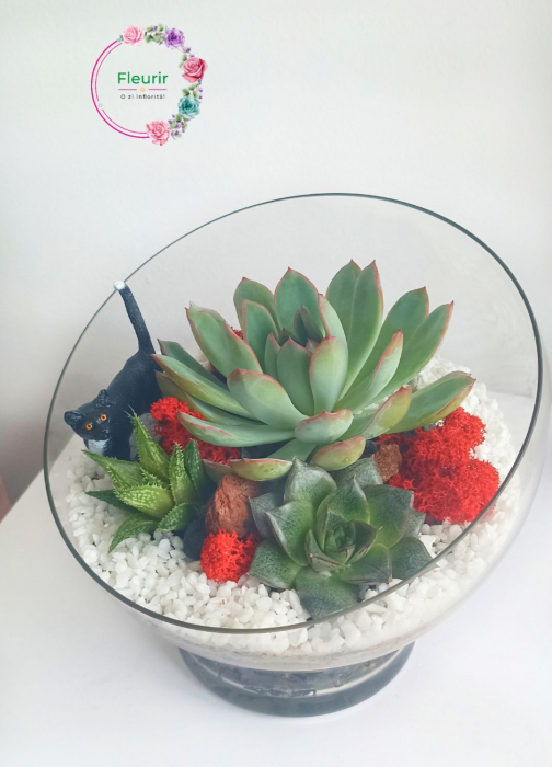 Aranjament cu Suculente în Vas de Sticlă [1]