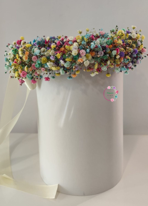 coronita-rainbow-gypsophila-colorata-fleurir [3]