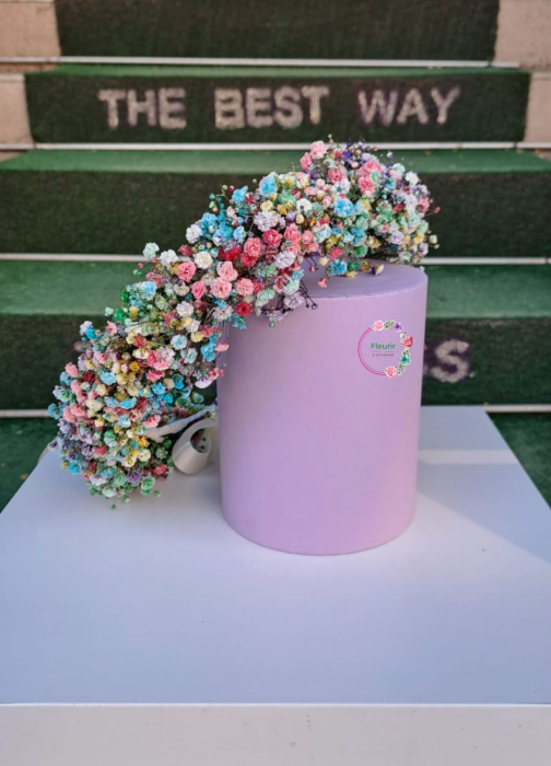 coronita-rainbow-gypsophila-colorata-fleurir [4]