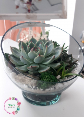 Aranjament cu Suculente în Vas de Sticlă [1]