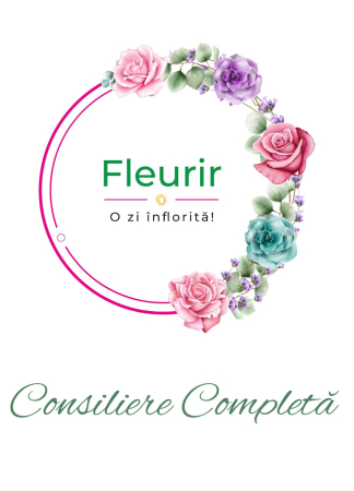 Consiliere Nuntă - consiliere-completa-concept-floral-nunta-iasi