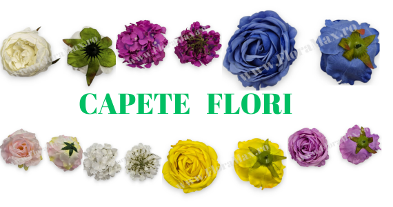 CAPETE FLORI