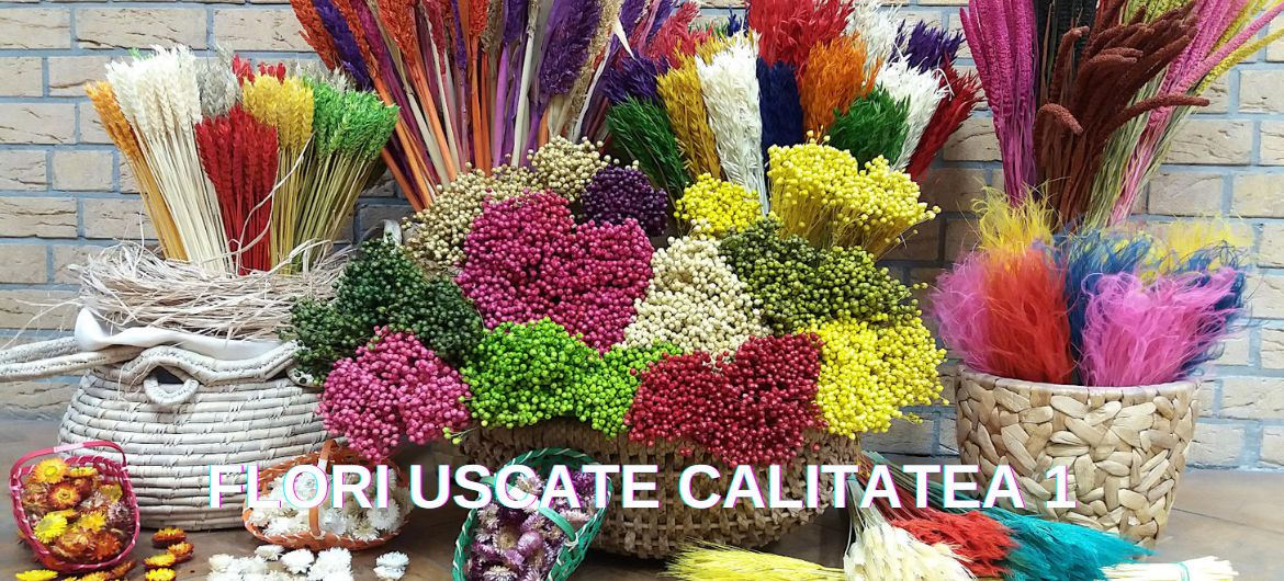 Flori uscate Octombrie 2024