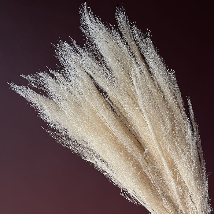 agrostis-alb-50-grame-calitate-premium-buchete-mireasa-flori-uscate-criogenate [2]