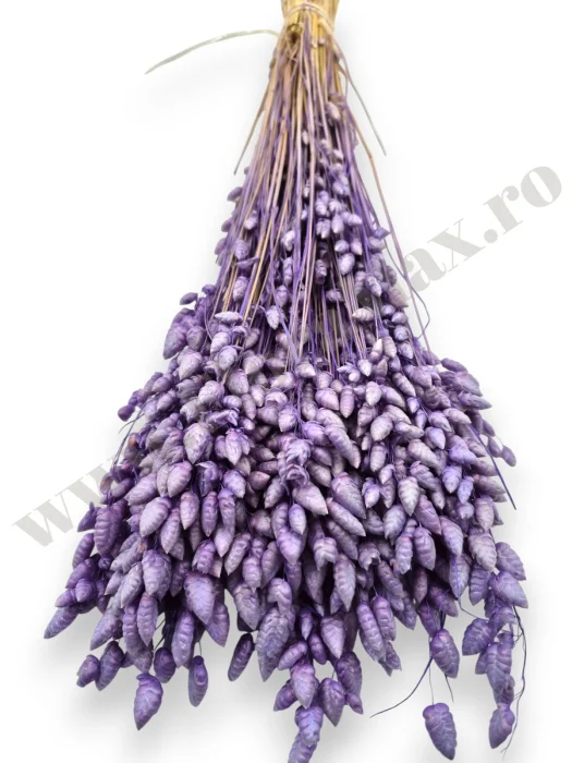 briza-maxima-lila-calitate-premium-flori-uscate-ieftine-70g.jpg [3]