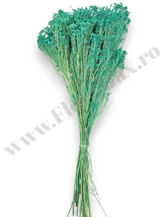 broom-bloom-100g-calitate-premium-invitatii-nunta-botez.jpg [3]