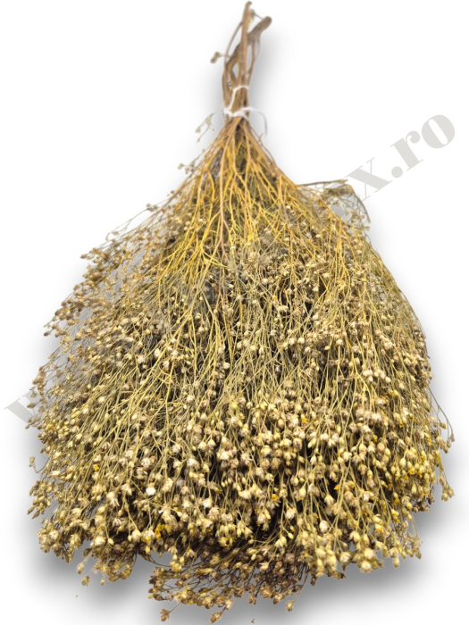 broom-bloom-100g-calitate-premium-invitatii-nunta-botez.jpg [3]