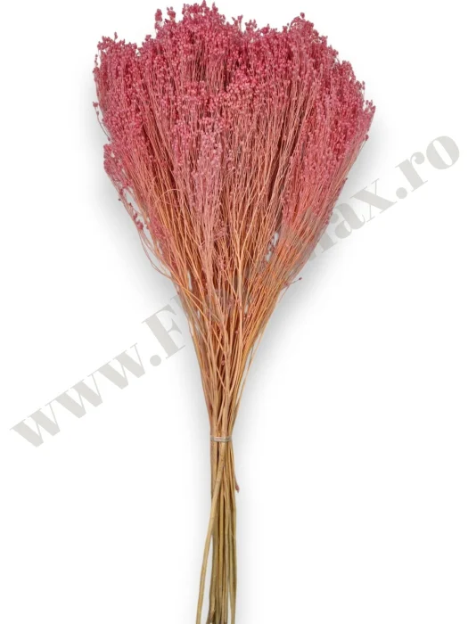 broom-bloom-100g-calitate-premium-invitatii-nunta-botez.jpg [3]