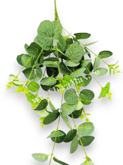 Buchet Eucalipt Verde artificial 70 cm [3]