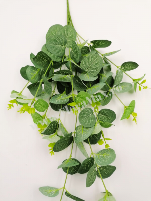 Buchet Eucalipt Verde artificial 70 cm [3]