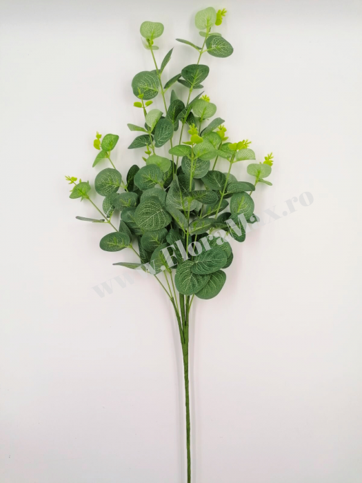 Buchet Eucalipt Verde artificial 70 cm [2]