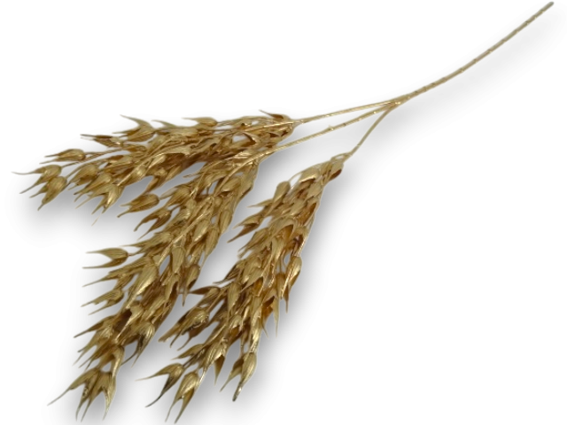 Creanga Aurie 70 cm [1]