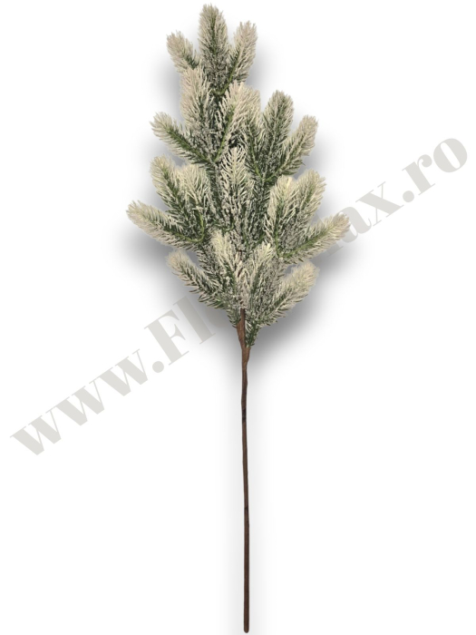 creanga-brad-nins-71cm-floramax [3]