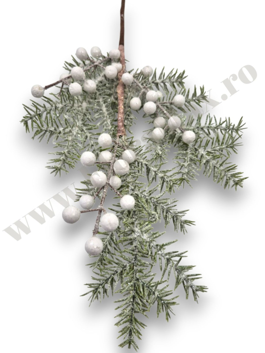 creanga-brad-nins-bilute-albe-53cm-floramax [2]