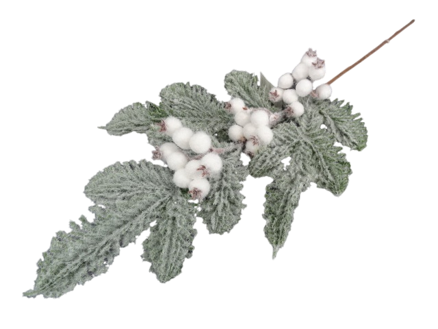 Creanga brad nins cu macese ninse albe brumate 61 cm [1]