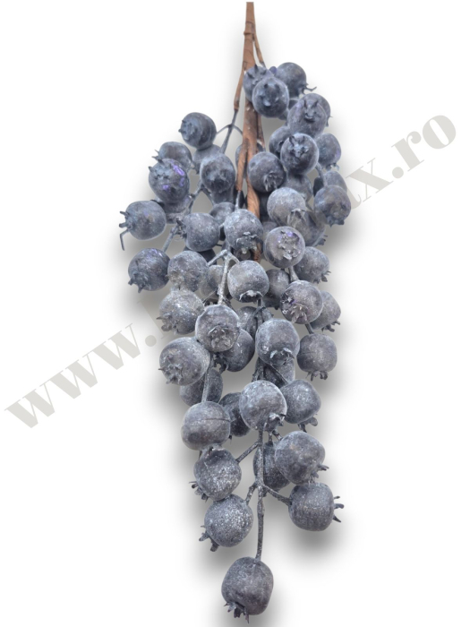 creanga-macese-mov-brumate-60cm-floramax [2]