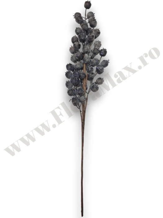 creanga-macese-mov-brumate-60cm-floramax [3]